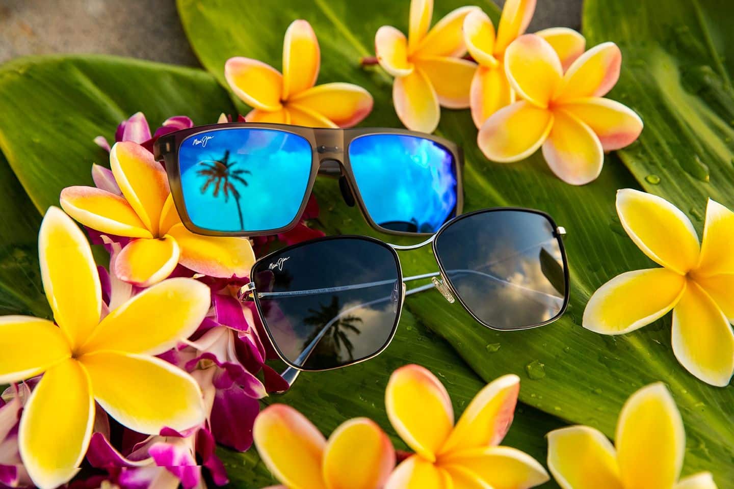 Kering Eyewear to Acquire Maui Jim