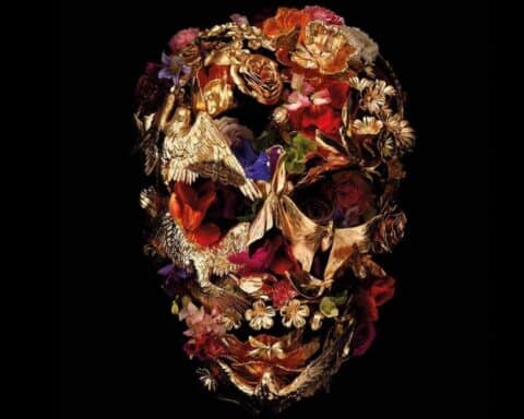 McQueen Vanitas