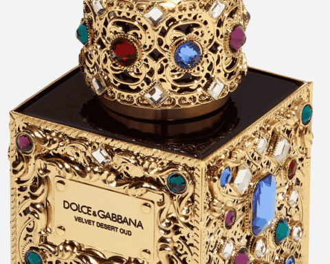 Dolce&Gabbana Velvet Precious Jewel cage LuxusPlus scaled