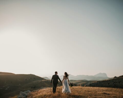 foto pettine IfjHaIoAoqE unsplash