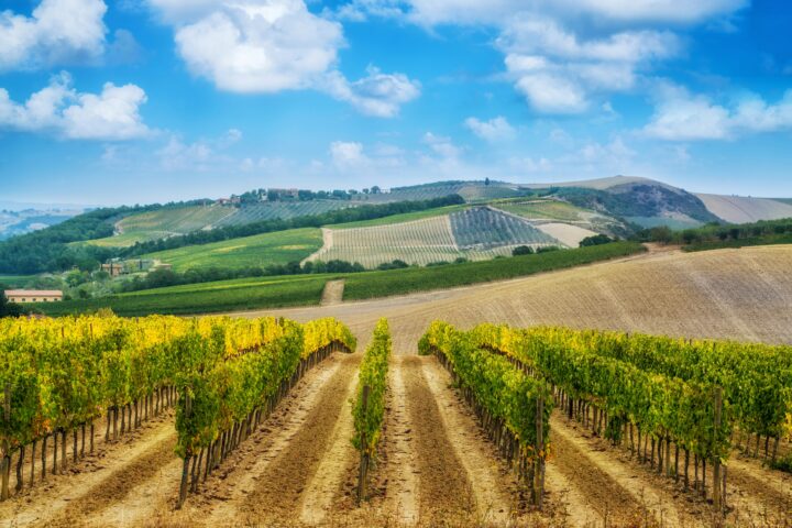 getty images 6Wz1NVJ6Fng unsplash
