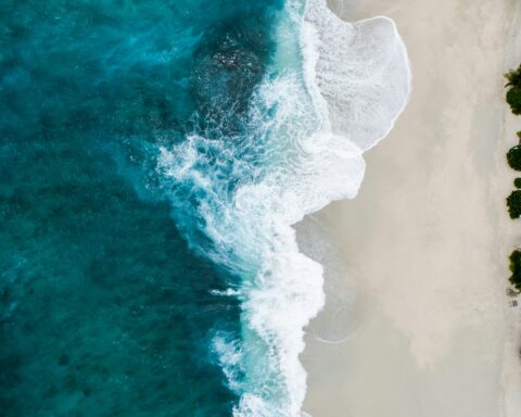 shifaaz shamoon okVXy9tG3KY unsplash