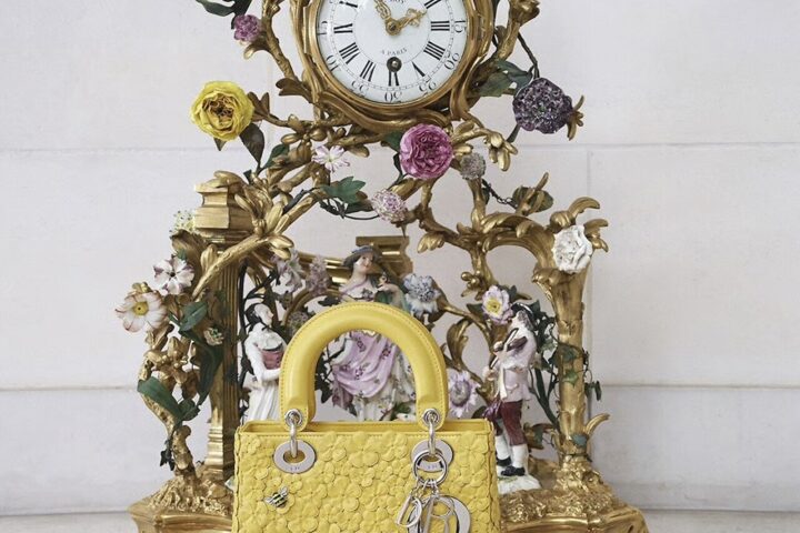 Dior bag ladydior