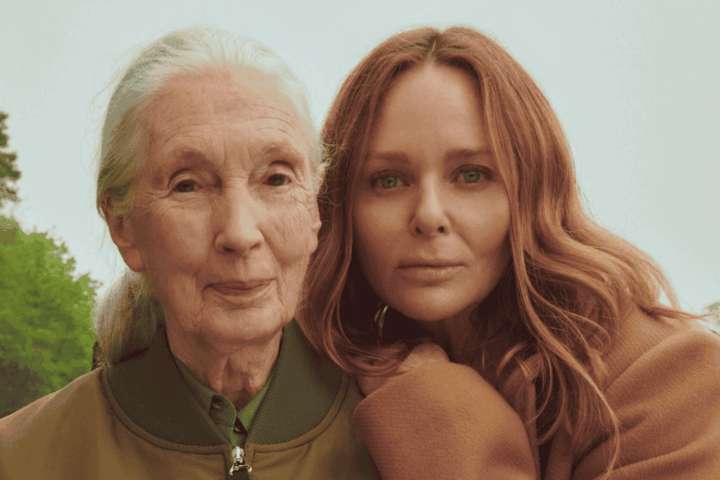 Stella McCartney New CEO LuxusPlus scaled