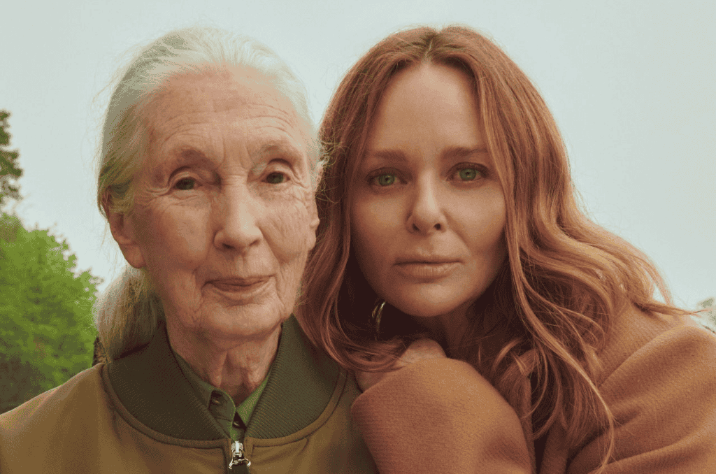 Stella McCartney New CEO LuxusPlus scaled
