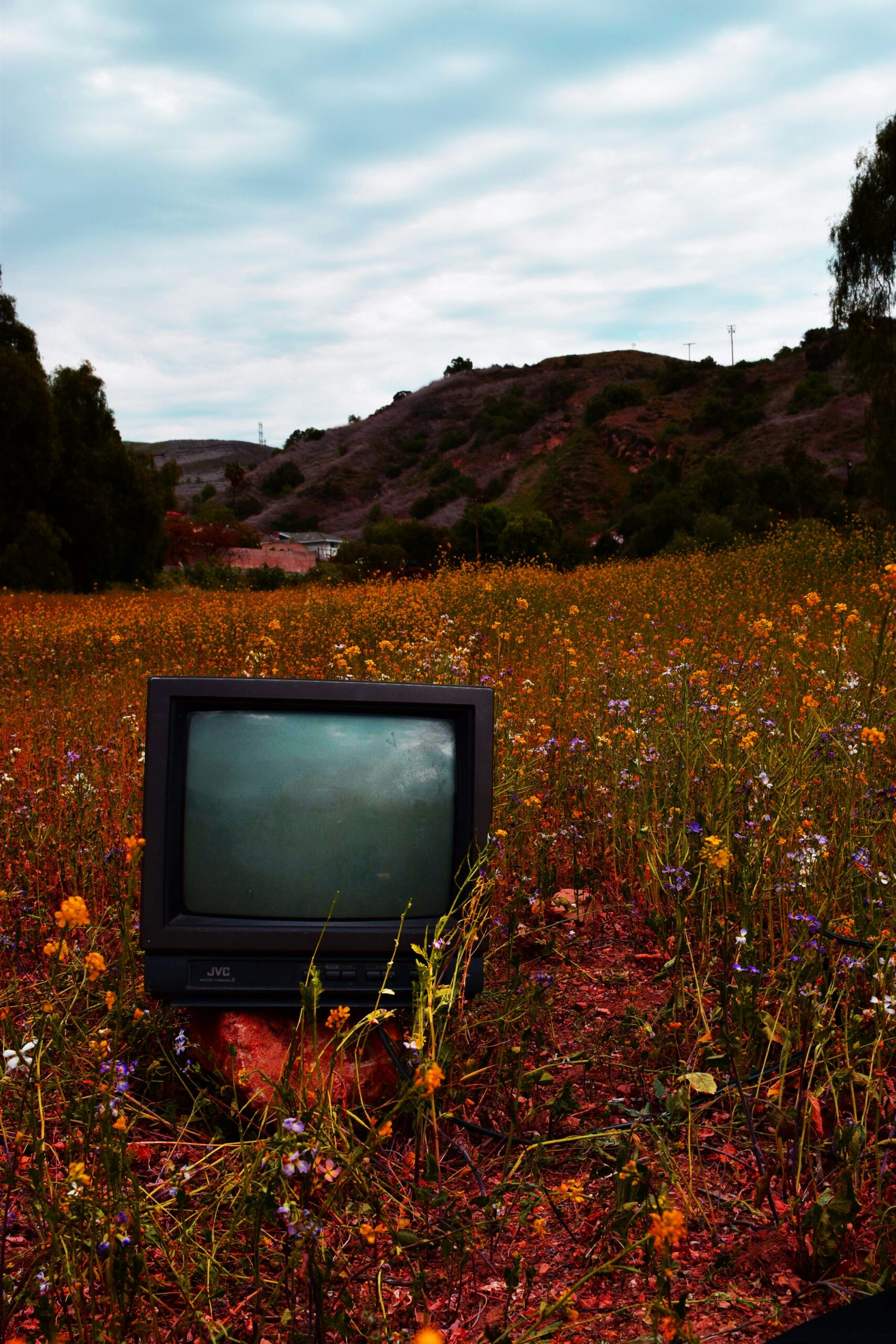 alex meza rtB5V BVEbk unsplash alex meza rtB5V BVEbk unsplash
