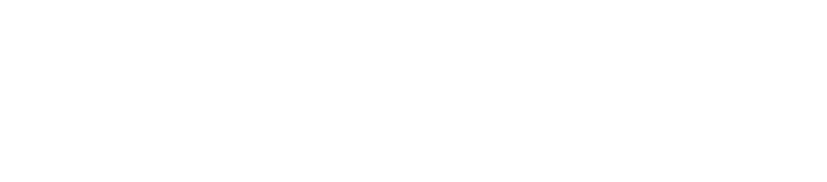 valtech logo webp