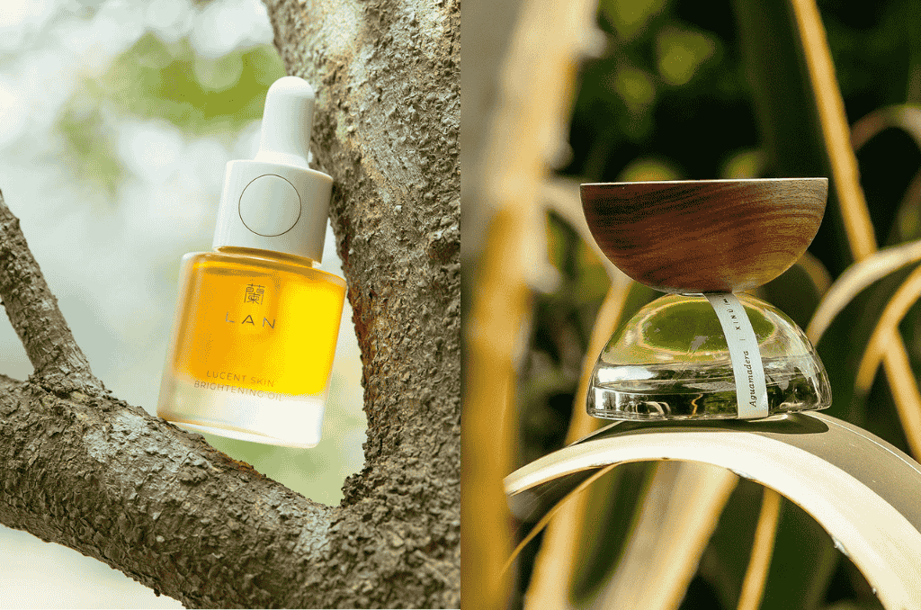 Lan蘭 Xinu M&A Loreal EsteeLauder LuxusPlus scaled (1)