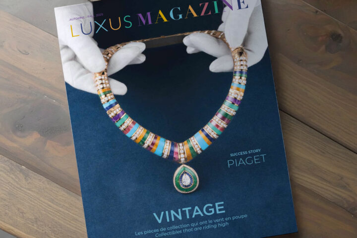 Visuel LuxusMag Fall 2025