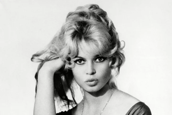 Brigitte Bardot portrait 2