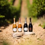 french bloom limoux