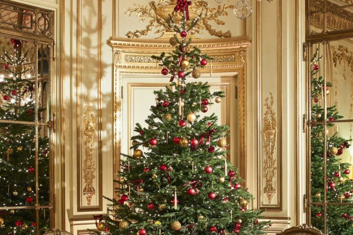 sapin pp (baccarat Francis Amiand)