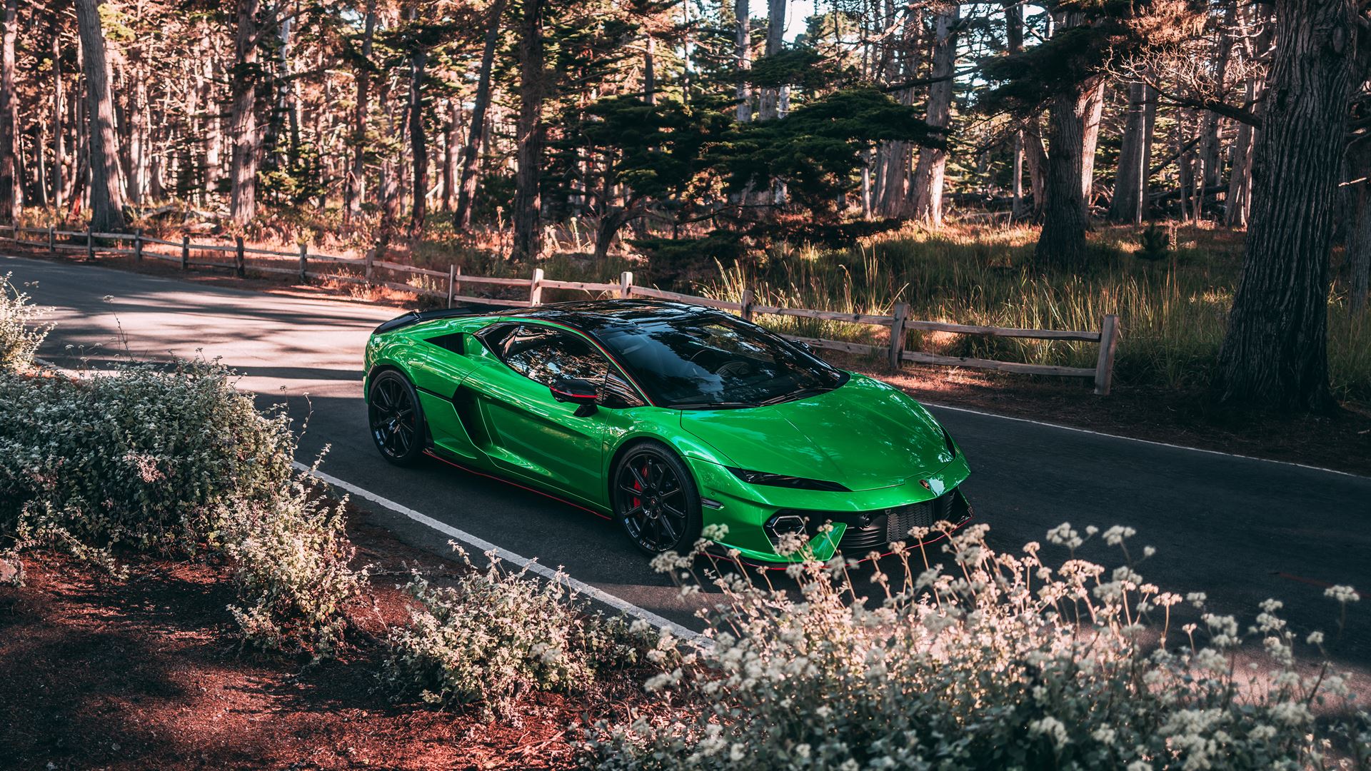 lamborghini esg